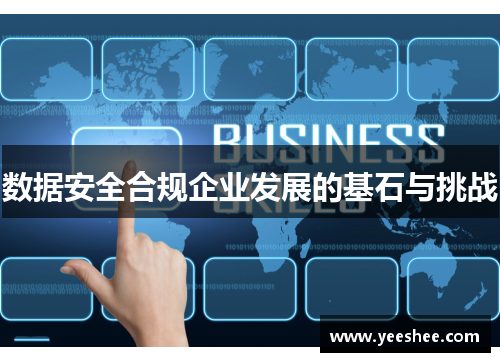 数据安全合规企业发展的基石与挑战